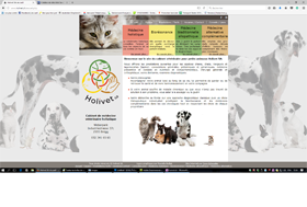 Site web Holivet, vétérinaire holistique